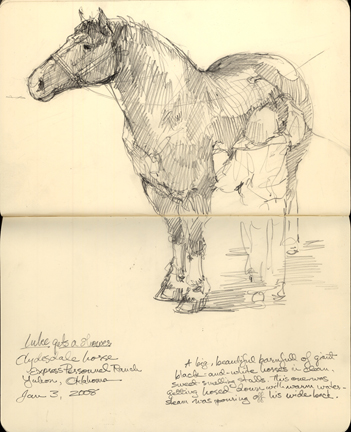 horse pictures to draw. to draw draft horses,