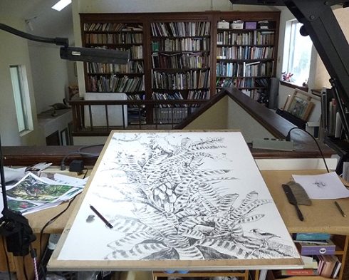 A new work for my show, field sketches combined in the studio on a large sheet of paper 30" x 39"